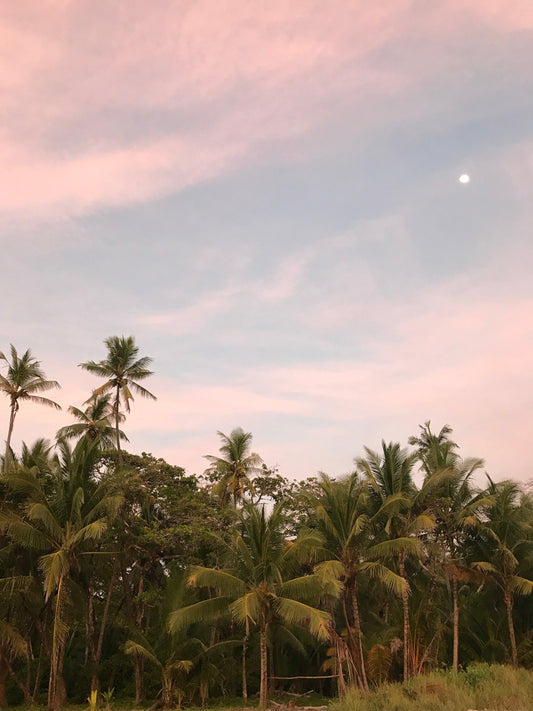 to the jungle and the sea of costa rica, a small casita renovation